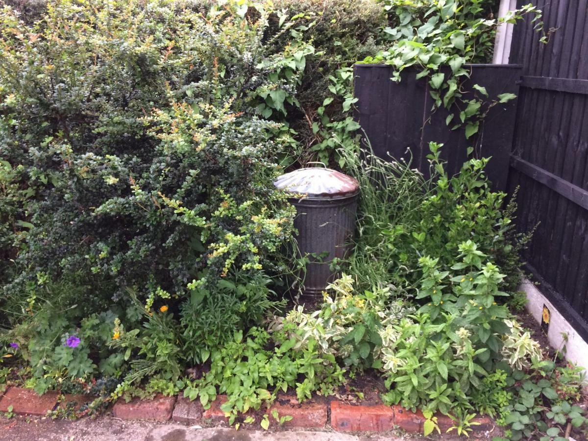 Rhuddlan House别墅 外观 照片